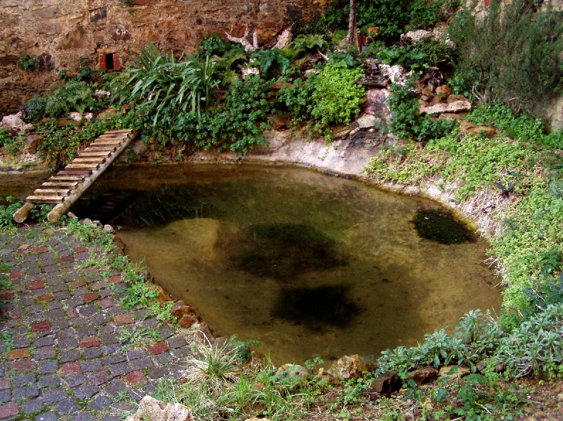 Il Laghetto del Centro di Entomologia - Piombino (LI)